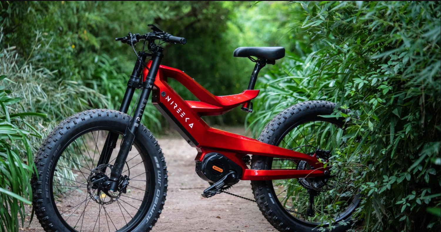 best fat bike under 1000